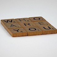 De ideale situatie voor behandelaar en revalidant?